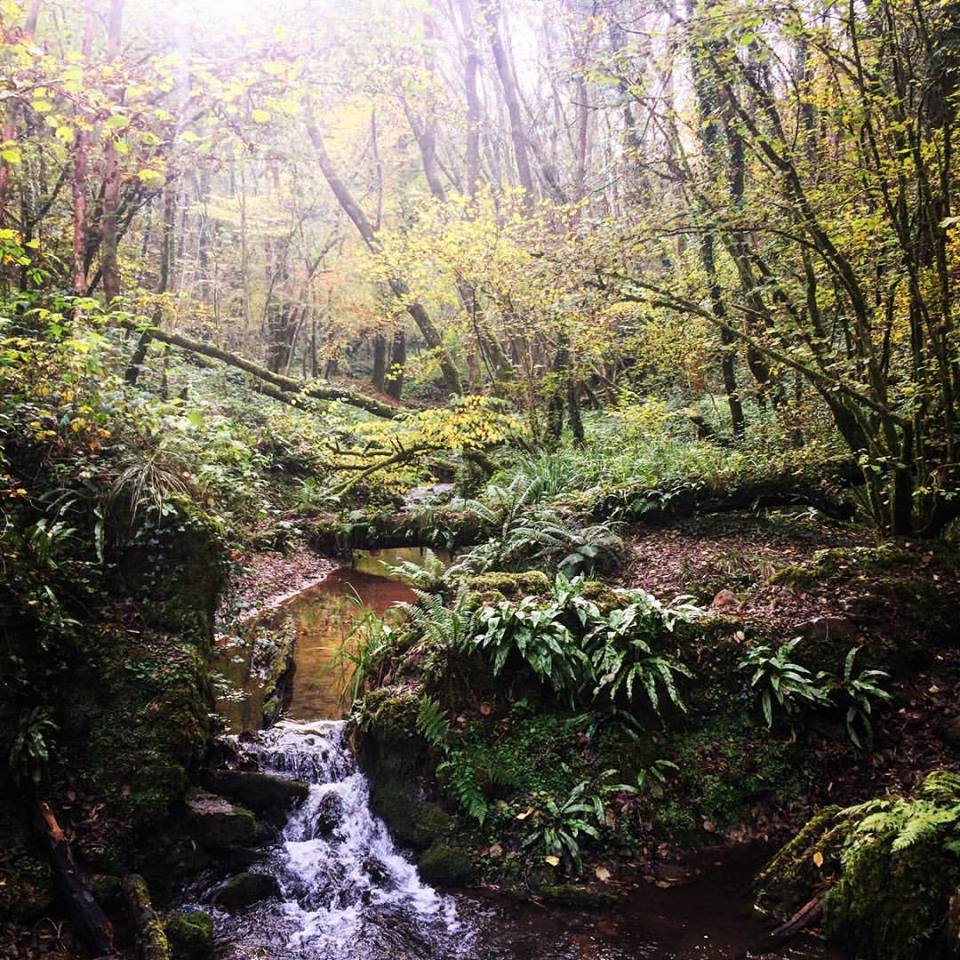 Safe guarding in arts practice