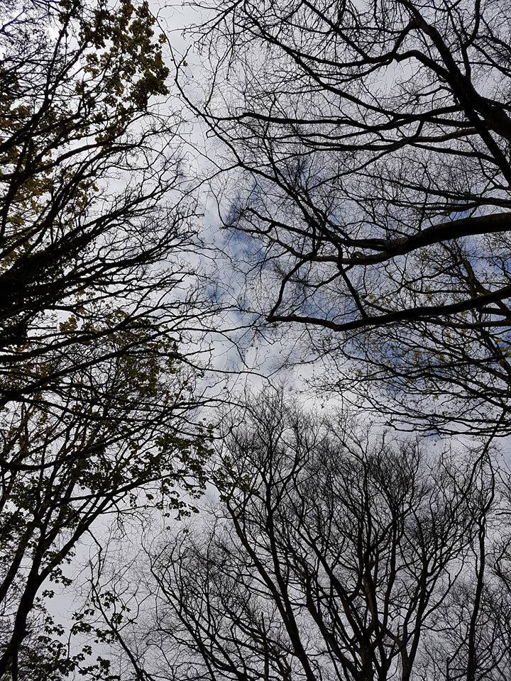 Dismantling an arts&nbsp;organisation