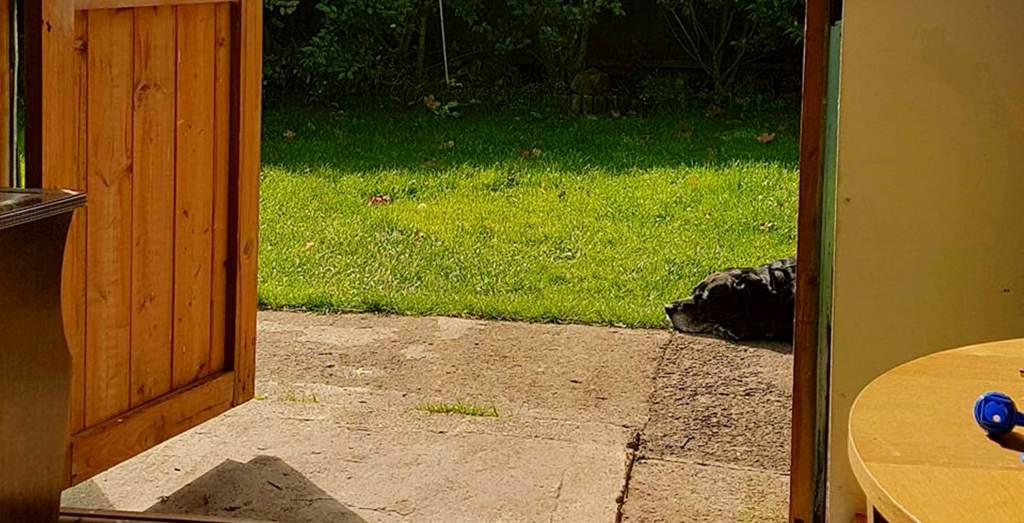 Guest Blog: A fond farewell from Carrie&nbsp;Creamer