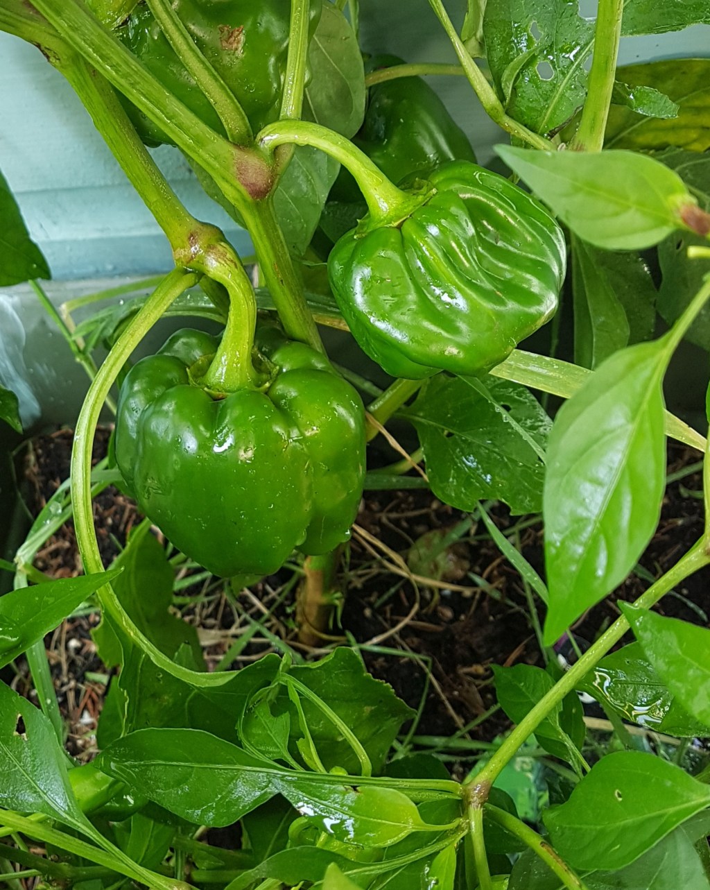 Do we have&nbsp;permission?