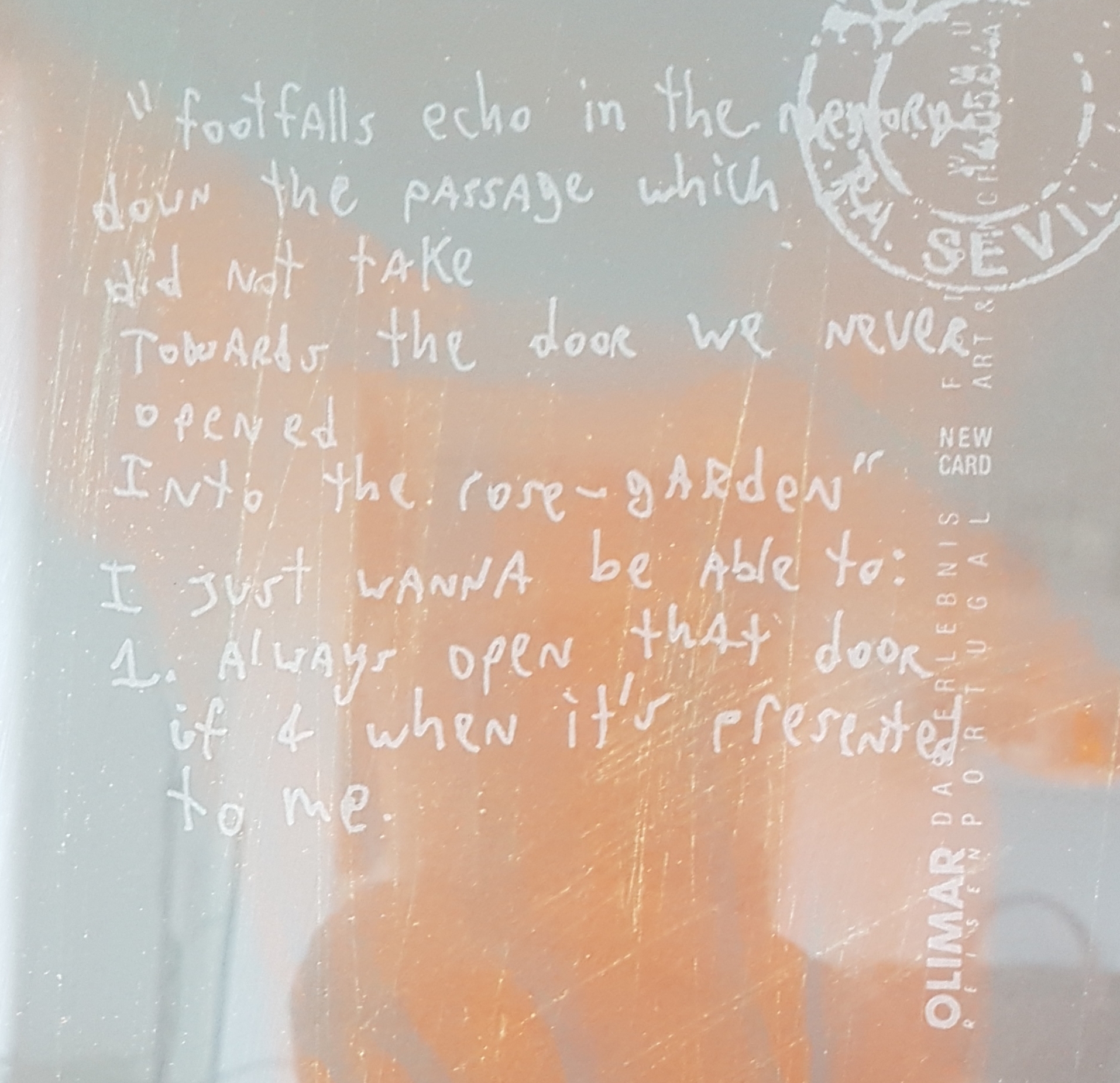 My fearless future