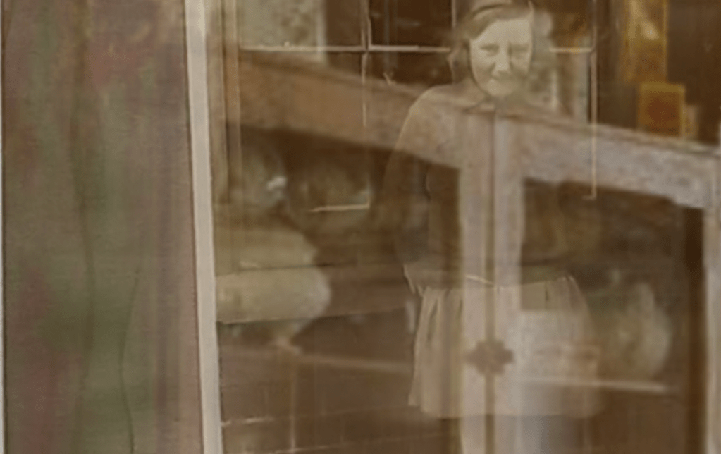 Fragments of a daydreamer